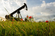 An antique oil drill in a field of beautiful flowers in Texas