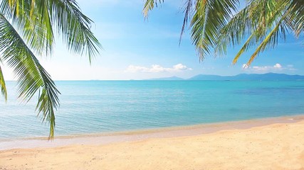 Wall Mural - tropical beach and palm tree