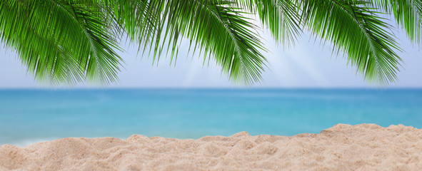 Tropical beach with palm trees, Natural background for summer vacation