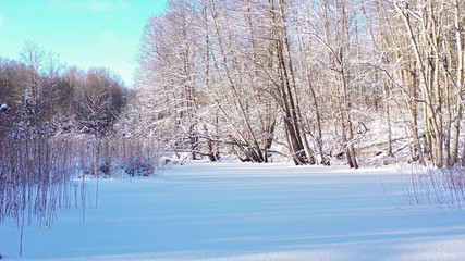 Aufkleber - Beautiful winter park in snow
