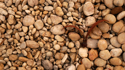 Wall Mural - brown stone background. pebble beach nature background