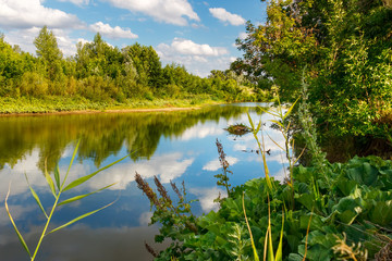 A calm water surface of a river with lush green forest on banks