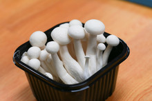 White Beech Mushroom Inside A Black Plastic Box.