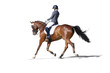 Equestrian sport - dressage rider portrait isolated on white