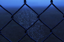 Close-up Of Spider Web On Chainlink Fence During Dusk