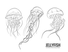 Jellyfish Outline Hand-drawn Doodle Marine Sketch, Underwater Jelly Fish Illustration, Medusa Line Art Drawing  Animal , Tattoo Sketch. Ocean Set
