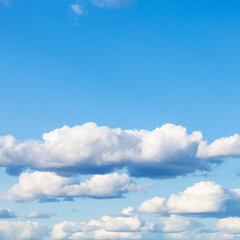 Wall Mural - nanural square background - many low white cumulus clouds in blue sky on March day