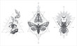 © natality - Collection of black and white moths and beetle over sacred geometry sign, isolated vector illustration.
