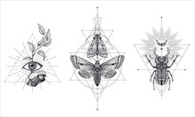 Collection Of Black And White Moths And Beetle Over Sacred Geometry Sign, Isolated Vector Illustration.