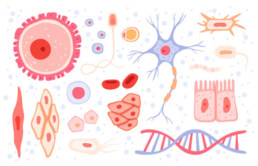 Cells collection. Human blood structure micro types of anatomy science vector collection cells set. Illustration blood structure, human cell microbiology