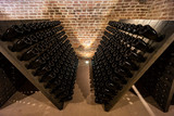 Fototapeta  - sparkling wine, wine cellar in Traiskirchen near Vienna, Thermenregion, Austria