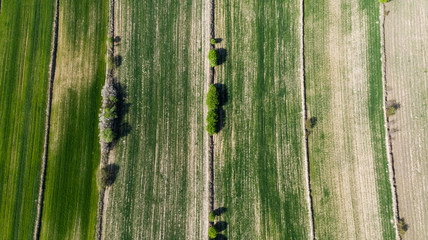 Poster - Geometric Farm Fields Shapes. Cultivated Countryside Scenic Landscape. Aerial Drone View