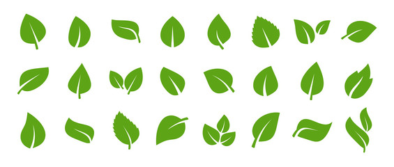 set of green leaf icons. green color. leafs green color icon logo. leaves on white background. ecolo