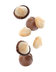 Delicious Macadamia nuts falling on white background