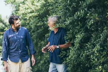 Wall Mural - Old father and adult son are relaxing in the backyard