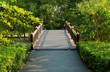 Wooden bridge among vibrant green foliage in the park