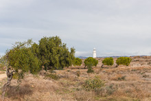  White And Old Lighthouse In Cyprus