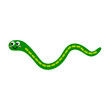 Cute cartoon snake in childlike flat style isolated on white background. Vector illustration. 