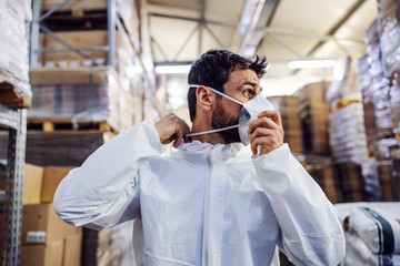 Wall Mural - Young man in protective suit putting face mask and preparing himself for disinfection from corona virus / covid-19. Warehouse interior. Warehouse is full of food products.