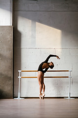 Wall Mural - Beautiful ballerina training in the class