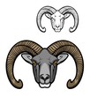 Mouflon sheep wild animal muzzle, vector hunter club icon. Hunting sport and hunt adventure, wild mouflon buffalo ram with curved horns, zoo symbol