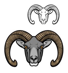 mouflon sheep wild animal muzzle, vector hunter club icon. hunting sport and hunt adventure, wild mo