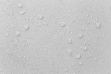 Aufkleber - The concept of raindrops falling on a gray background Abstract wet white surface with bubbles on the surface Realistic pure water droplet water drops for creative banner design