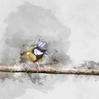 Digital watercolor painting of Colourful vibrant Great Tit bird Parus Major on branch in Spring sunshine in garden