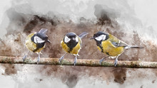 Digital Watercolor Painting Of Colourful Vibrant Great Tit Bird Parus Major On Branch In Spring Sunshine In Garden