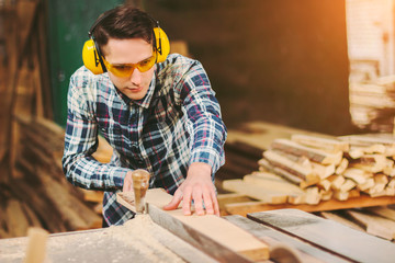 Wall Mural - Professional carpenter in protective glasses and headphones using electric circular saw at woodworking workshop. Skilled cabinet maker working with sawing machine at sawmill. Wood production craftsman