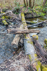 Canvas Print - Log Pile In Stream 4