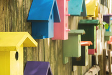 Colorful Birdhouses On Wooden Wall