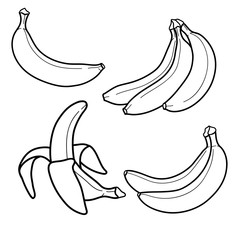 Wall Mural - Linear drawing banana isolated on white background. Sketch for coloring booking page. Vector illustration