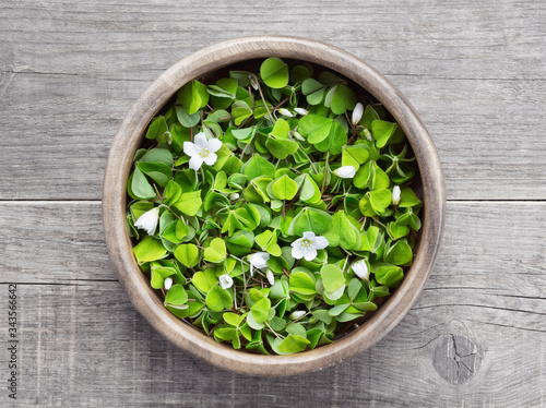 Oxalis In A Wooden Bowl On A Wooden Table Wood Sorrel With White Flowers Edible Plant From The Forest A Sour Taste Edible Spring Plant Oxalidaceae Family Stock Photo Adobe Stock