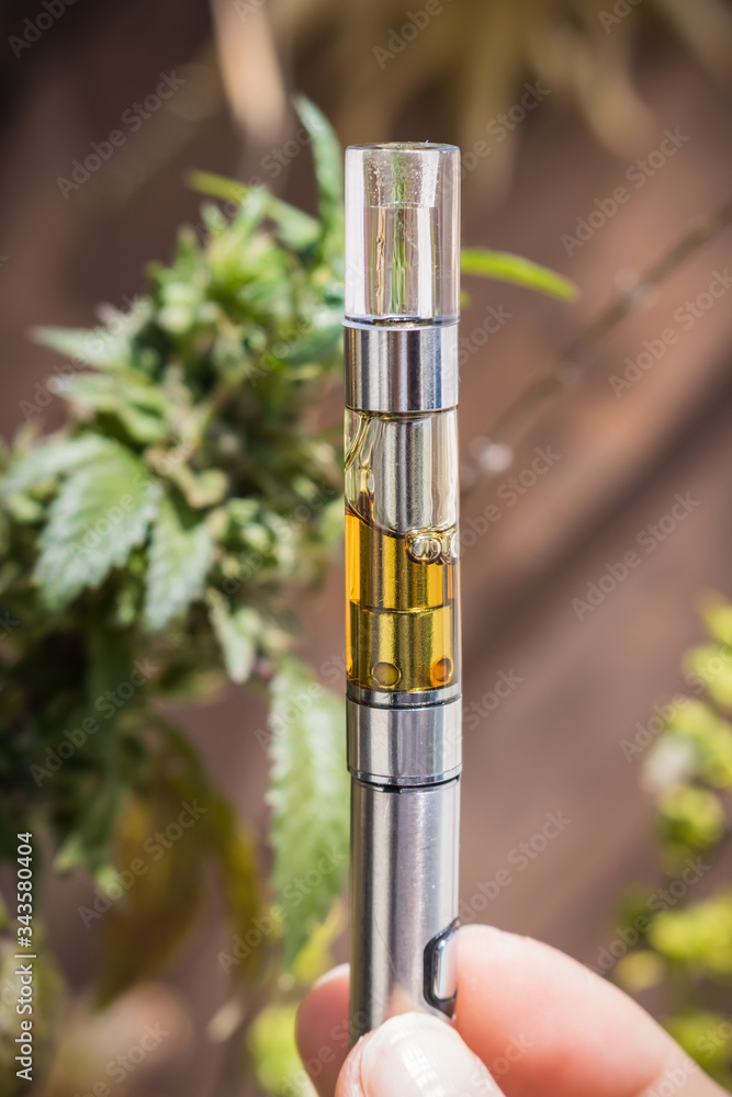 hand holding a vape pen with golden liquid filled cartridge. hemp plant ...