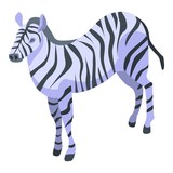 Fototapeta  - Zebra icon. Isometric of zebra vector icon for web design isolated on white background