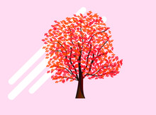 Canadian Red Maple Tree Bonsai Flat Vector Icon Illustration