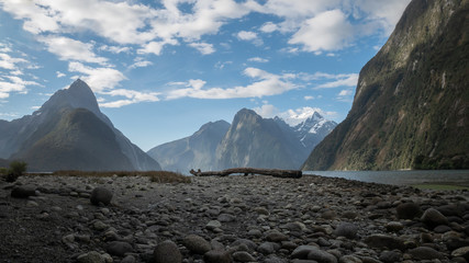 Fjord landscape with tree trunk located in the middle of the frame and impressive peaks in backdrop. Photo taken before sunset in Milford Sound, Fiordland National Park, New Zealand