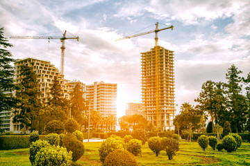 Wall Mural - Construction site with green park area. Cranes and buildings in morning sun