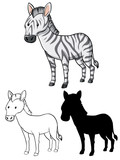 Fototapeta Konie - Set of zebra cartoon