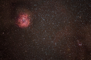 Wall Mural - the rosetta nebulae and amazing place on the night sky. newborn stars growing inside the colorful re