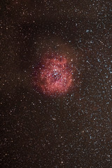 Wall Mural - the rosetta nebulae and amazing place on the night sky. newborn stars growing inside the colorful re