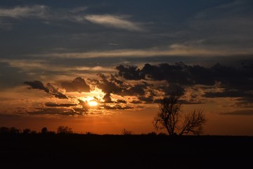 Wall Mural - Sunset