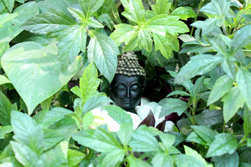 antique buddha god in nature