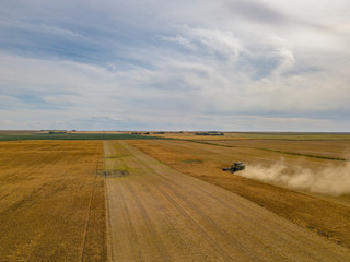 Aerial drone footage of combine harvester from behind   harvesting fields in Canada Saskatchewan during sunset beautiful machinery  john deer 