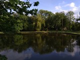 Fototapeta Krajobraz - W parku nad stawem.