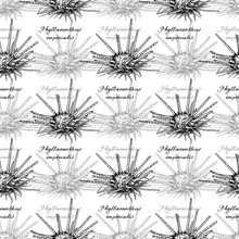 Sputnik Urchin. Seamless Pattern Of Phyllacanthus Imperialis And Calligraphy. Hand-drawn Collection Of Greeting Cards. Vector Illustration On A White Background.