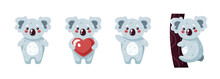 Cute Koala Isolated. Funny Cartoon Animal. Characters For Kids. Vector Illustration. Flat Eps10. Koala With Heart. Koala On A Tree.