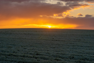 Wall Mural - beautiful, dramatic multi-colored clouds lit by the rising sun above the panorama of a green field o