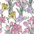Tulips and freesia. Flower seamless illustration. Hand drawn background.
